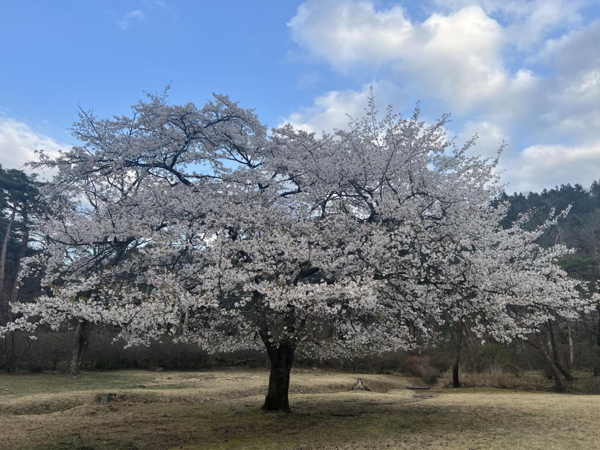 Kinugawa Keisui Nikko Exterior foto